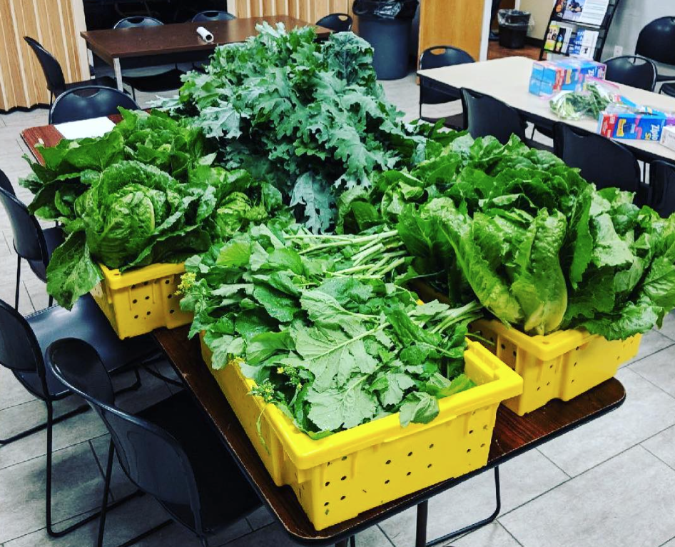 Bebashi Food Pantry A Haven Against Hungers Cold Embrace.